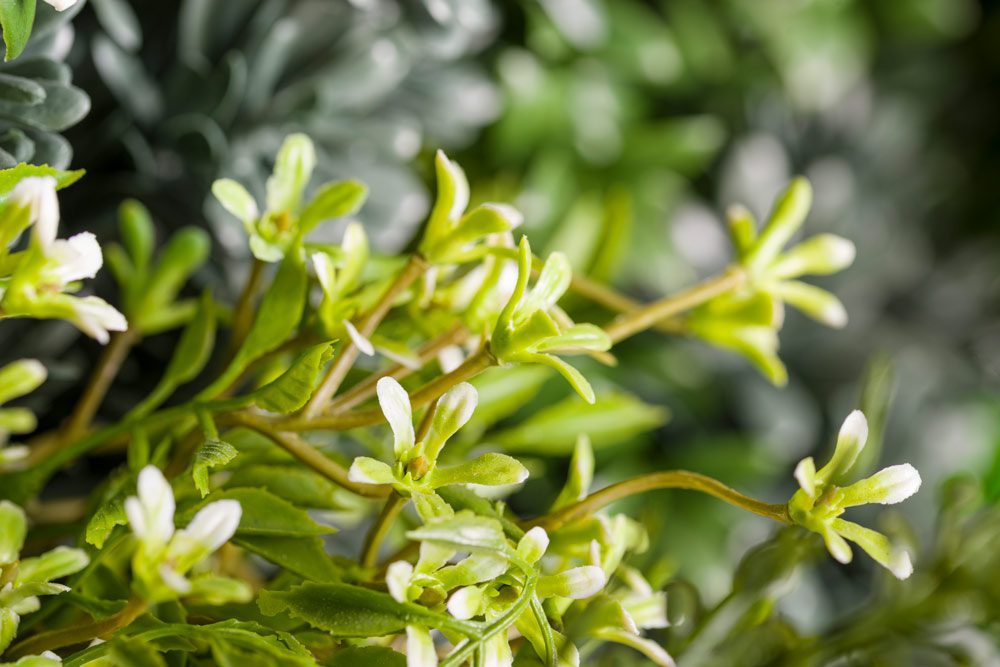 Искусственная зелень Vistafolia