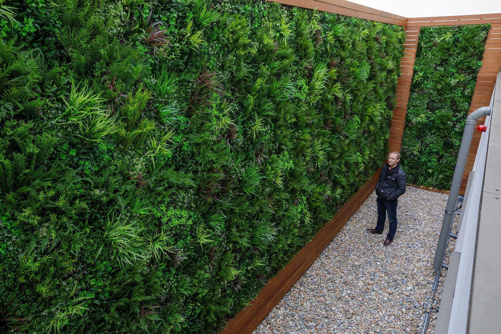 Искусственные зеленые стены для офисов